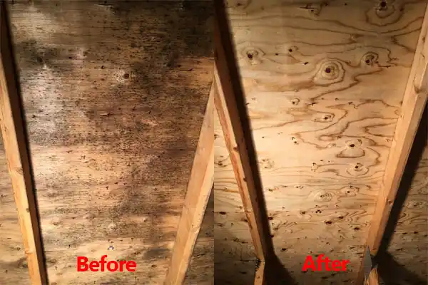 water damage restoration service Mountain Lakes